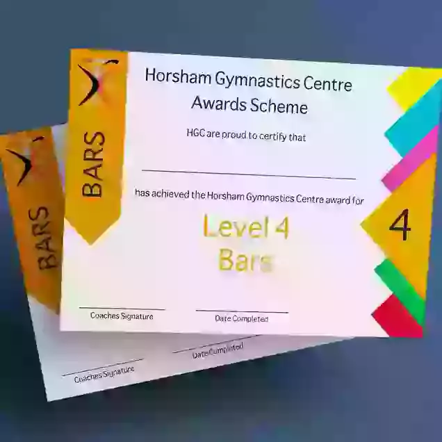 HGC Award Bars Level 4 Certificate & Award Ribbon